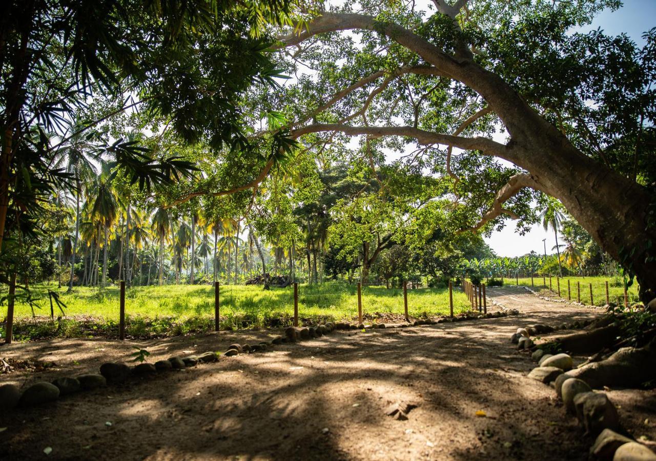 מלון בוריטאקה Gardenia Springs מראה חיצוני תמונה